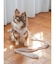 【CAT&DOG】【販路限定商品】ハーネス