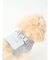 【CAT&DOG】【販路限定商品】ハーネス