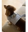 【CAT&DOG】【販路限定商品】ハーネス