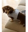 【CAT&DOG】【販路限定商品】ハーネス