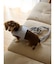 【CAT&DOG】【販路限定商品】ハーネス