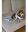 【CAT&DOG】【販路限定商品】ハーネス