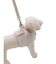 【CAT&DOG】【販路限定商品】ハーネス