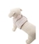 【CAT&DOG】【販路限定商品】ハーネス