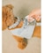 【CAT&DOG】【販路限定商品】首輪