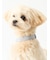 【CAT&DOG】【販路限定商品】首輪