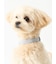 【CAT&DOG】【販路限定商品】首輪