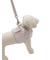 【CAT&DOG】【販路限定商品】首輪