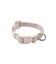 【CAT&DOG】【販路限定商品】首輪