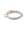 【CAT&DOG】【販路限定商品】首輪