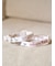 【CAT&DOG】【販路限定商品】モチーフ柄首輪