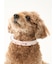 【CAT&DOG】【販路限定商品】モチーフ柄首輪