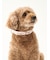 【CAT&DOG】【販路限定商品】モチーフ柄首輪