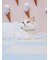 【CAT&DOG】【販路限定商品】モチーフ柄首輪