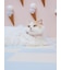 【CAT&DOG】【販路限定商品】モチーフ柄首輪