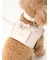 【CAT&DOG】【販路限定商品】ジョイント