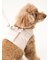 【CAT&DOG】【販路限定商品】ジョイント