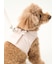 【CAT&DOG】【販路限定商品】ジョイント