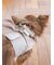 【CAT&DOG】【販路限定商品】ジョイント