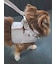 【CAT&DOG】【販路限定商品】ジョイント
