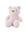 【ONLINE限定カラーあり】【BABY】パウダーベアぬいぐるみ
