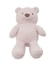 【ONLINE限定カラーあり】【BABY】パウダーベアぬいぐるみ