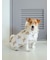 【CAT&DOG】【販路限定商品】レインポンチョ