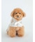 【CAT&DOG】【販路限定商品】レインポンチョ