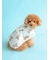 【CAT&DOG】【販路限定商品】レインポンチョ