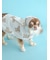 【CAT&DOG】【販路限定商品】レインポンチョ