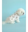 【CAT&DOG】【販路限定商品】レインポンチョ