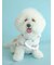 【CAT&DOG】【販路限定商品】レインポンチョ