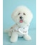 【CAT&DOG】【販路限定商品】レインポンチョ