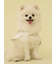 【CAT&DOG】【販路限定商品】レインポンチョ