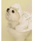 【CAT&DOG】【販路限定商品】レインポンチョ