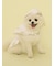 【CAT&DOG】【販路限定商品】レインポンチョ
