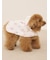 【CAT&DOG】【販路限定商品】レインポンチョ