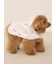【CAT&DOG】【販路限定商品】レインポンチョ