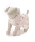 【CAT&DOG】【販路限定商品】レインポンチョ