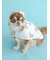 【CAT&DOG】【販路限定商品】レインポンチョ