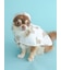 【CAT&DOG】【販路限定商品】レインポンチョ