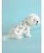 【CAT&DOG】【販路限定商品】レインポンチョ