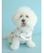 【CAT&DOG】【販路限定商品】レインポンチョ