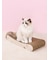 【CAT&DOG】ねこ柄つめとぎ