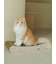 【CAT&DOG】ねこ柄つめとぎ