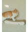 【CAT&DOG】ねこ柄つめとぎ