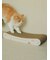【CAT&DOG】ねこ柄つめとぎ