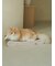 【CAT&DOG】ねこ柄つめとぎ