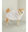 【CAT&DOG】ラージサイズレインポンチョ