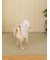 【CAT&DOG】ラージサイズレインポンチョ